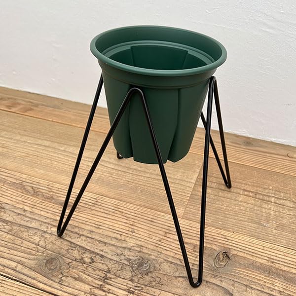 Amazon.co.jp: [ベルツモア]マジックスクエアスタンドと鉢のセット